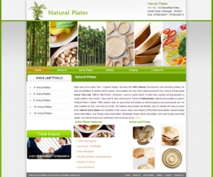 Web design Tiruchendur