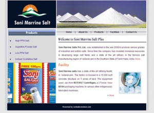 Web design Kayalpattinam